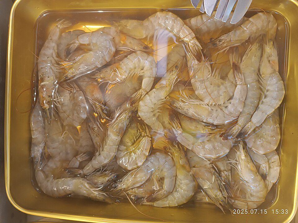 Seafood